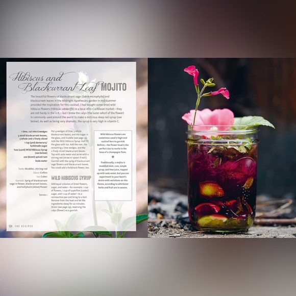 Wild Cocktails from  the Midnight Apothecary: Over 100 recipes - Picture 2 of 8